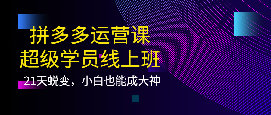 拼多多运营课：超级学员线上班，21天蜕变，小白也能成大神_网创掘金