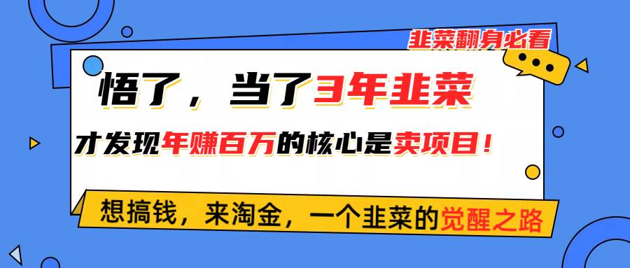 悟了，当了3年韭菜，才发现网赚圈年赚100万的核心是卖项目，含泪分享！_网创掘金