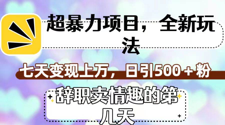 超暴利项目，全新玩法（辞职卖情趣的第几天），七天变现上万，日引500+粉_网创掘金