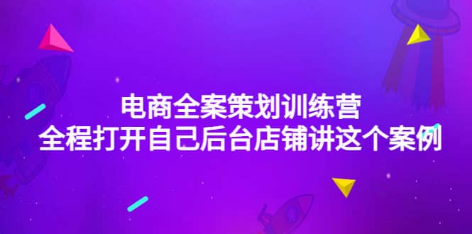 电商全案策划训练营：全程打开自己后台店铺讲这个案例（9节课时）_网创掘金