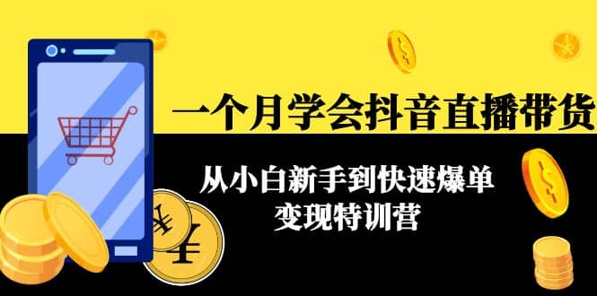 一个月学会抖音直播带货：从小白新手到快速爆单变现特训营(63节课)_网创掘金