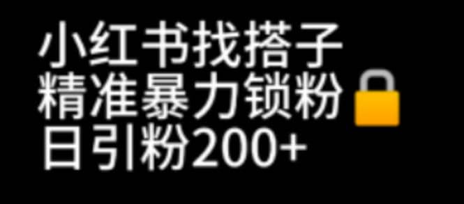 小红书找搭子暴力精准锁粉+引流日引200+精准粉_网创掘金