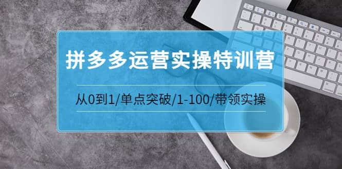 拼多多运营实操特训营：从0到1/单点突破/1-100/带领实操 价值2980元_网创掘金