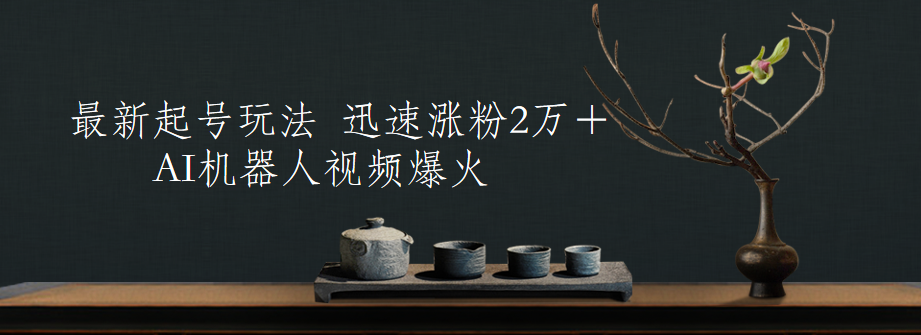 最新起号玩法，AI机器人视频爆火，迅速涨粉2万＋_网创掘金