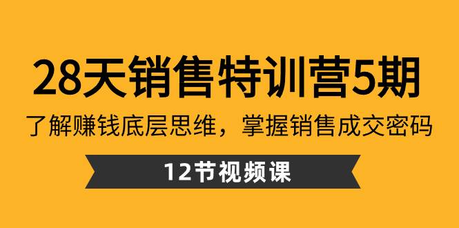 28天·销售特训营5期：了解赚钱底层思维，掌握销售成交密码（12节课）_网创掘金