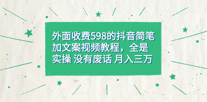 外面收费598抖音简笔加文案教程，全是实操 没有废话 月入三万（教程+资料）_网创掘金