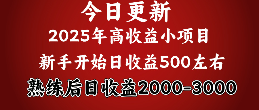 好项目一眼就能看出来，日收益1000，长久可做，2025拼的就是我比你勤奋_网创掘金