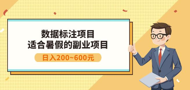 副业赚钱：人工智能数据标注项目，简单易上手，小白也能日入200+_网创掘金