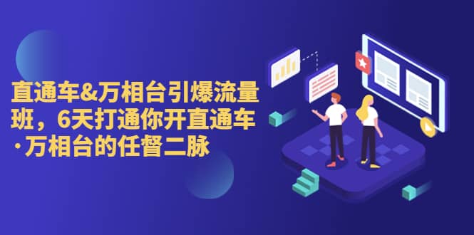 直通车+万相台引爆流量班，6天打通你开直通车·万相台的任督 二脉_网创掘金
