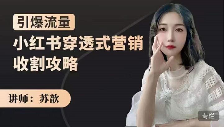 小红书穿透式营销收割攻略，引爆流量，助你玩转小红书_网创掘金