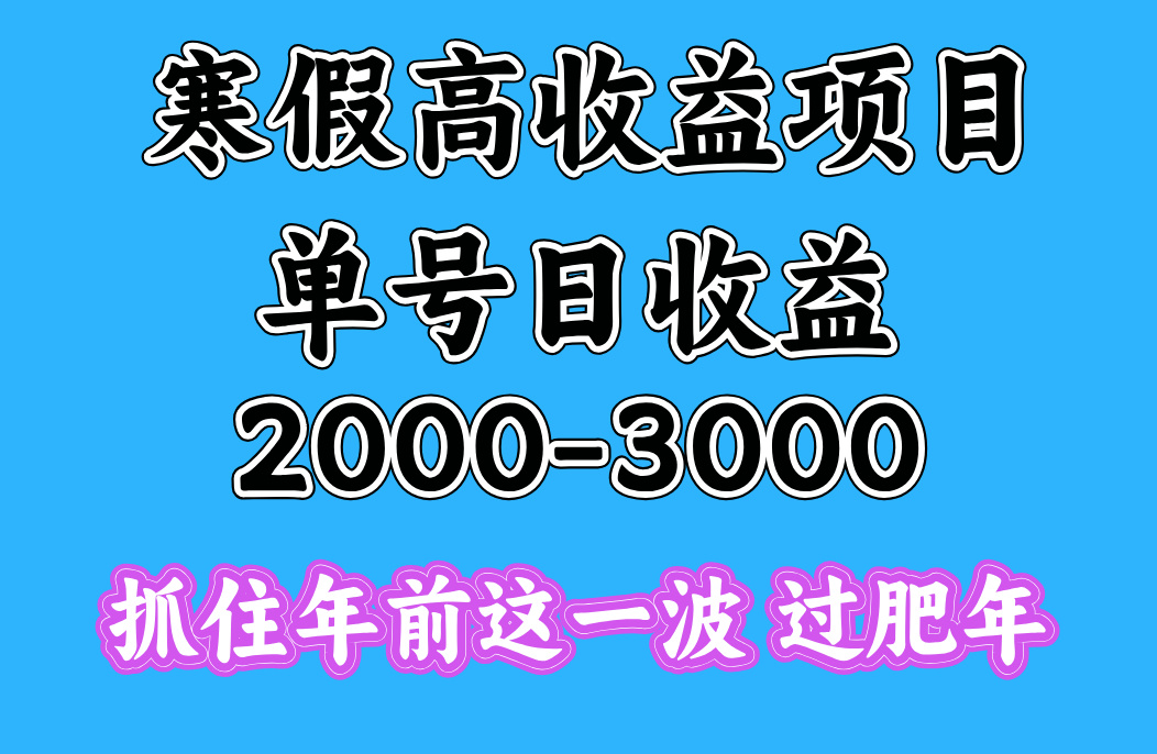 寒假期间一天收益2000-3000+，抓住年前这一波_网创掘金