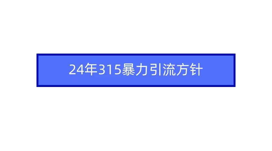 2024年315暴力引流方针_网创掘金