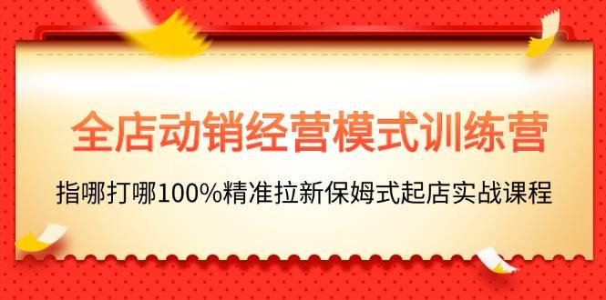 全店动销-经营模式训练营，指哪打哪100%精准拉新保姆式起店实战课程_网创掘金