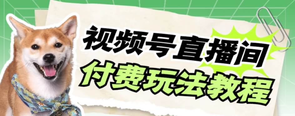视频号美女付费无人直播，轻松日入500+【详细玩_网创掘金