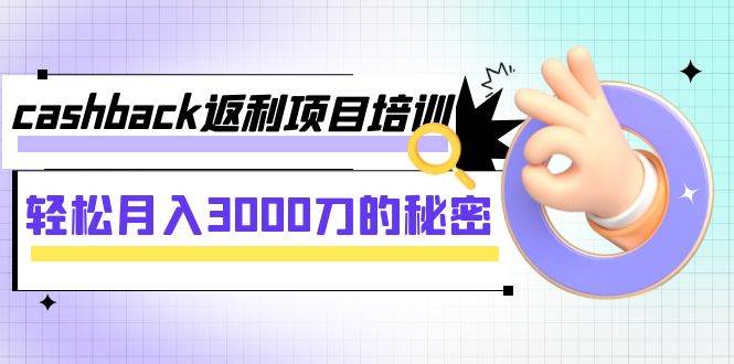 cashback返利项目培训：轻松月入3000刀的秘密（8节课）_网创掘金