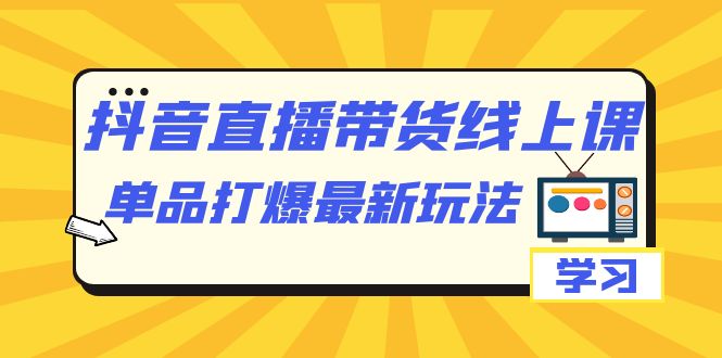 抖音·直播带货线上课，单品打爆最新玩法（12节课）_网创掘金