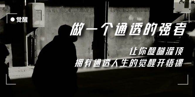 觉醒-做一个通透强者，让你醍醐灌顶，拥有通透人生，掌握强大的秘密_网创掘金