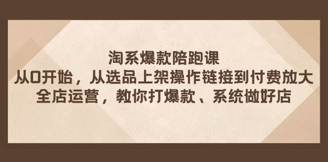 淘系爆款陪跑课 从选品上架操作链接到付费放大 全店运营 打爆款 系统做好店_网创掘金