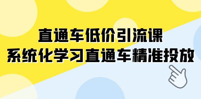 直通车-低价引流课，系统化学习直通车精准投放（14节课）_网创掘金
