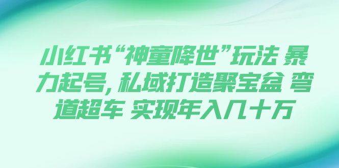 小红书“神童降世”玩法 暴力起号,私域打造聚宝盆 弯道超车 实现年入几十万_网创掘金