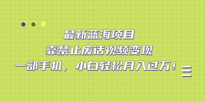 最新蓝海项目，靠禁止废话视频变现，一部手机，小白轻松月入过万！_网创掘金