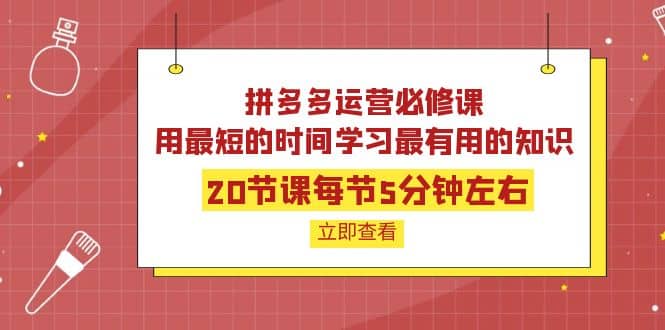 拼多多运营必修课：20节课每节5分钟左右，用最短的时间学习最有用的知识_网创掘金