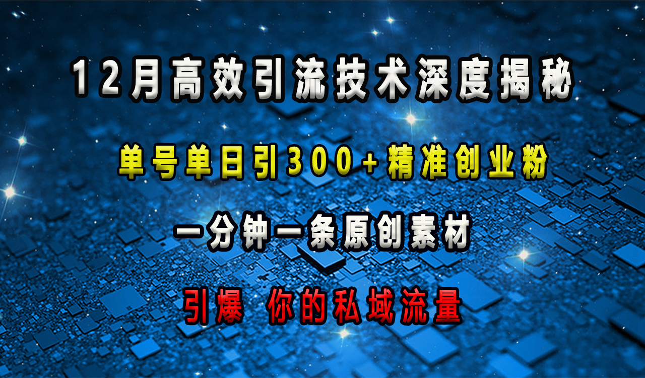 12月高效引流技术深度揭秘 ，单号单日引300+精准创业粉，一分钟一条原创素材，引爆你的私域流量_网创掘金