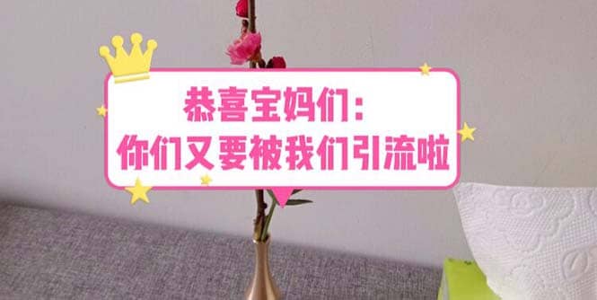 恭喜宝妈们：你们又要被我们引流了（教程+222g资料）_网创掘金