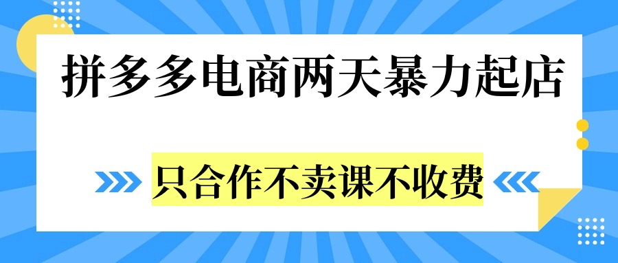 拼多多两天暴力起店，只合作不卖课不收费_网创掘金