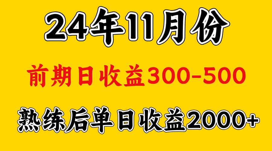 轻资产项目，前期日收益500左右，后期日收益1500-2000左右，多劳多得_网创掘金