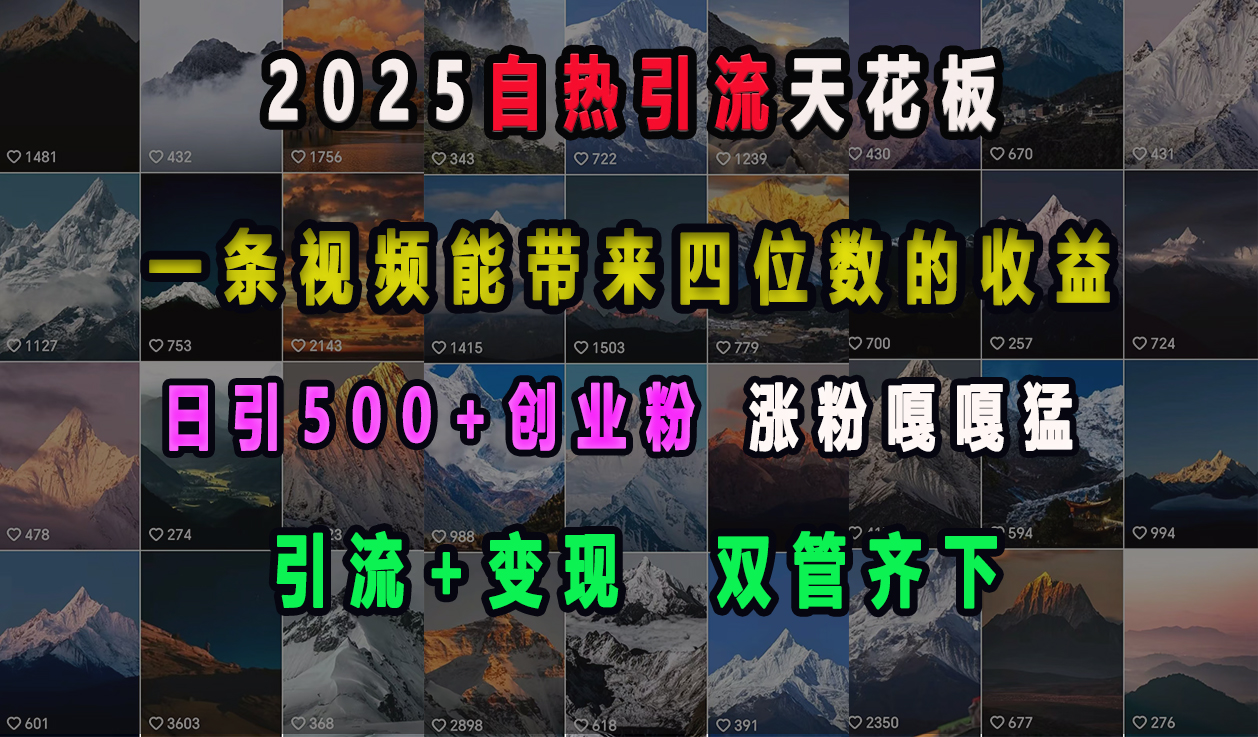 2025自热引流天花板，一条视频能带来四位数的收益，引流+变现双管齐下，日引500+创业粉，涨粉嘎嘎猛_网创掘金
