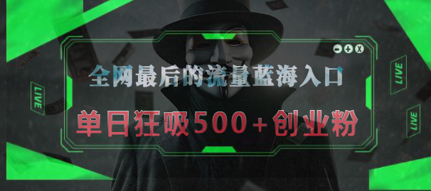 全网最后的流量蓝海入口，半小时引流50+创业粉，单日狂吸500+创业粉_网创掘金