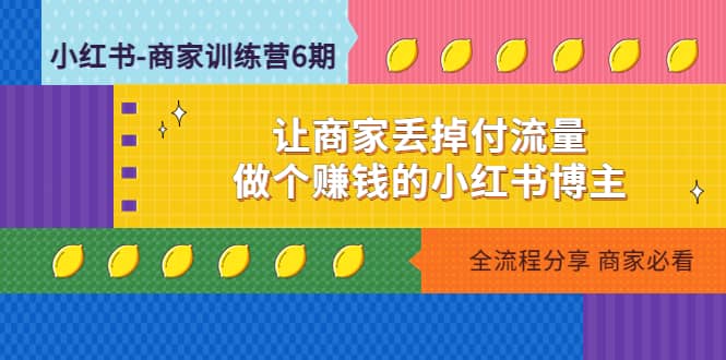 小红书-商家训练营12期：让商家丢掉付流量_网创掘金