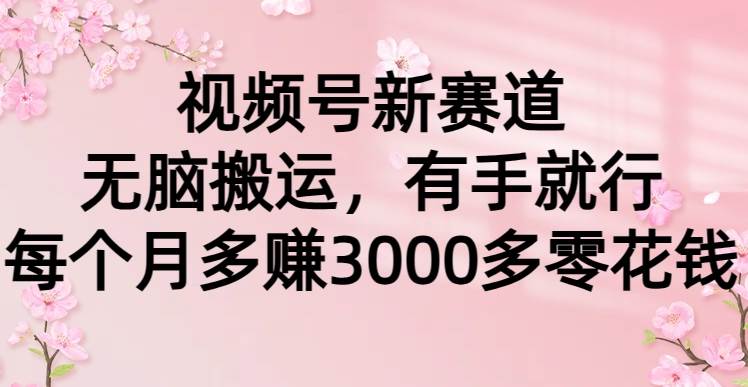 视频号新赛道，无脑搬运，有手就行，每个月多赚3000多零花钱_网创掘金
