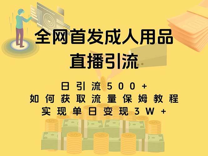 最新全网独创首发，成人用品直播引流获客暴力玩法，单日变现3w保姆级教程_网创掘金