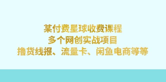 某付费星球课程：多个网创实战项目，撸货线报、流量卡、闲鱼电商等等_网创掘金