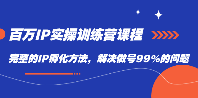 百万IP实战训练营课程，完整的IP孵化方法，解决做号99%的问题_网创掘金