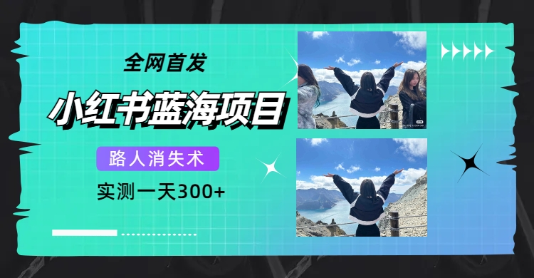 全网首发，小红书蓝海项目，路人消失术，实测一天300+（教程+工具）_网创掘金