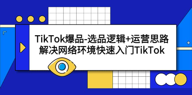 TikTok爆品-选品逻辑+运营思路：解决网络环境快速入门TikTok_网创掘金