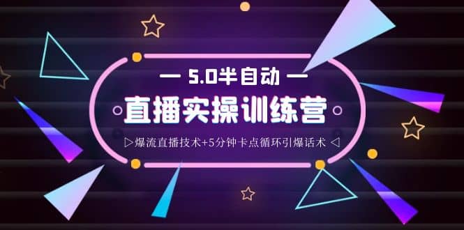 蚂蚁·5.0半自动直播2345打法，半自动爆流直播技术+5分钟卡点循环引爆话术_网创掘金