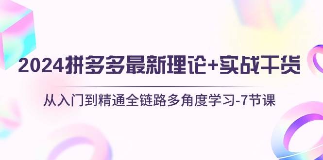 2024拼多多 最新理论+实战干货，从入门到精通全链路多角度学习-7节课_网创掘金
