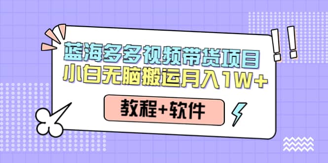 人人都能操作的蓝海多多视频带货项目 小白无脑搬运（教程+软件）_网创掘金