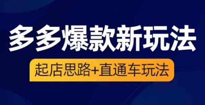 2023拼多多爆款·新玩法：起店思路+直通车玩法（3节精华课）_网创掘金
