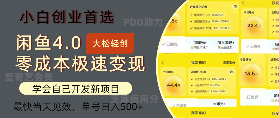 闲鱼0成本极速变现项目，多种变现方式，单号日入500+最新玩法_网创掘金