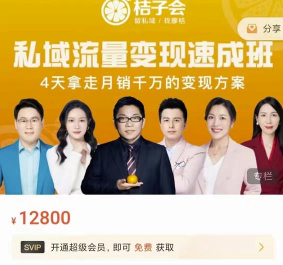 桔子会·私域流量变现速成班，4天拿走月销千万的变现方案 价值12800元_网创掘金
