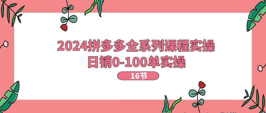 2024拼多多全系列课程实操，日销0-100单实操【16节课】_网创掘金