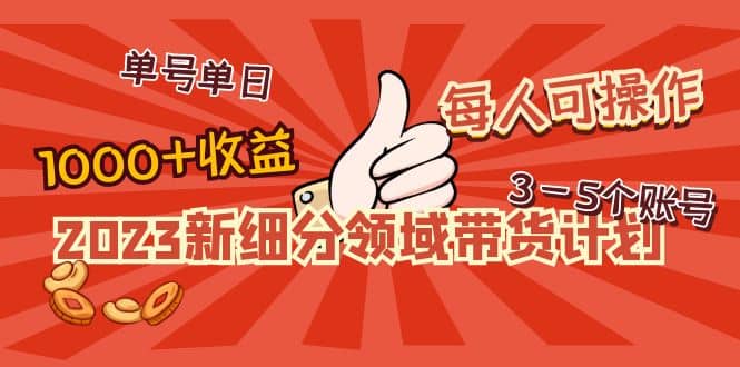 2023新细分领域带货计划：单号单日1000+收益不难，每人可操作3-5个账号_网创掘金