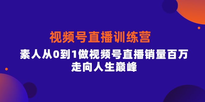 视频号直播训练营，素人从0到1做视频号直播销量百万，走向人生巅峰_网创掘金