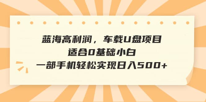 蓝海高利润，车载U盘项目，适合0基础小白，一部手机轻松实现日入500+_网创掘金