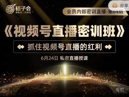 《视频号直播密训班》，抓住视频号直播的红利 价值12800_网创掘金